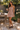Picnic Perfect Dress - ShopSpoiled