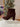 Fifth Ave Boots - ShopSpoiled