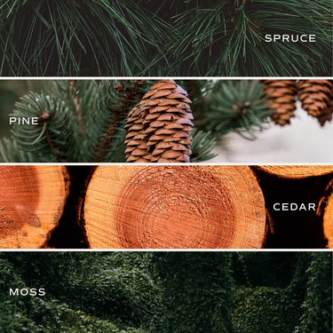 Christmas Tree Farm 15 oz Matte Soy Candle - ShopSpoiled