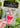 Iced Coffee with Bow Air Freshener - ShopSpoiled