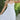 The Wildflower Breeze Dress - ShopSpoiled