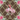 Long Live Cowgirls Mat - ShopSpoiled