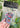 Best Mom Ever Air Freshener - ShopSpoiled