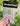 Pink Bow Air Freshener - ShopSpoiled