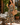 Orange Blossom Dress - ShopSpoiled
