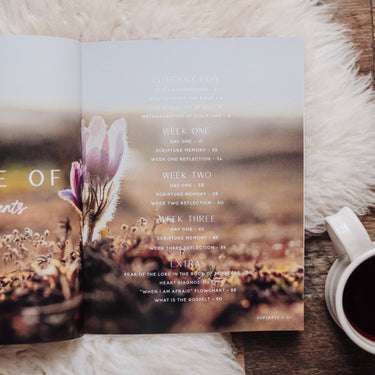 When Fear Meets Faith - ShopSpoiled
