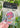 Best Gigi Ever Air Freshener - ShopSpoiled