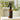 Sea Salt & Orchid Room Spray - 4 oz Amber Glass Bottle - ShopSpoiled